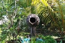 Sandies Bathala Maldives Bathala Island Dış mekan fotoğraf